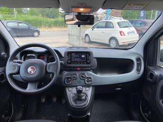 FIAT Panda usata 26