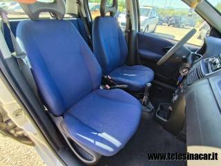 FIAT Punto usata 12