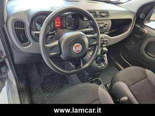 FIAT Panda usata, con Airbag testa