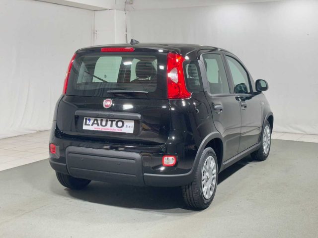 FIAT Panda usata, con Chiusura centralizzata