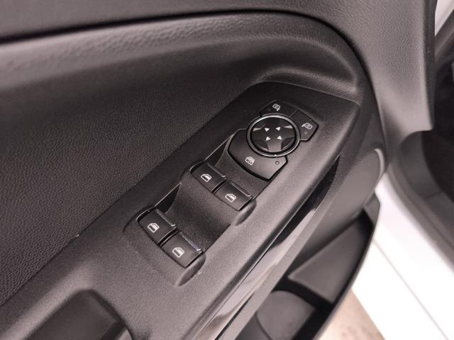 FORD EcoSport usata, con Vetri oscurati