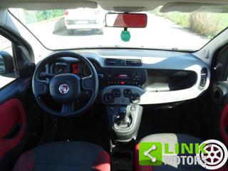 FIAT Panda usata, con Alzacristalli elettrici