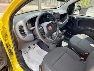 FIAT Panda usata, con Climatizzatore