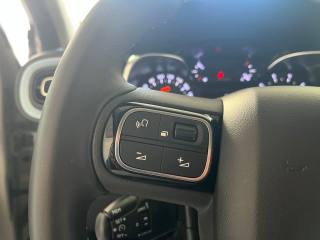 CITROEN C3 usata, con Cruise Control