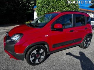 FIAT Panda Cross usata, con Fendinebbia