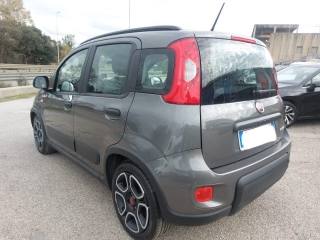 FIAT Panda usata, con Controllo trazione