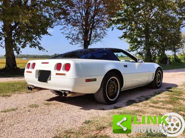 CHEVROLET Corvette usata 13