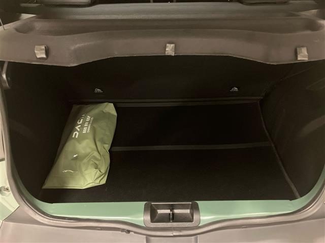 DACIA Spring usata 23