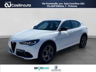 ALFA ROMEO Stelvio 2.2 Turbodiesel 210 CV AT8 Q4