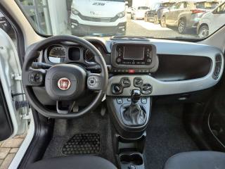 FIAT Panda usata, con Chiusura centralizzata telecomandata