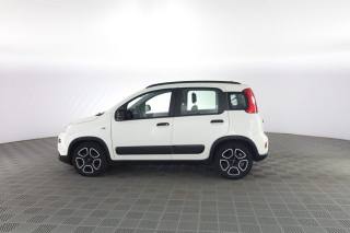 FIAT Panda usata 5