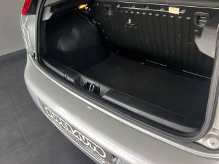 FIAT Punto usata, con Fendinebbia