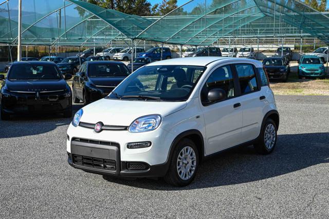 FIAT Panda usata, con ABS