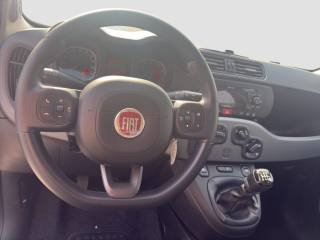 FIAT Panda usata 11