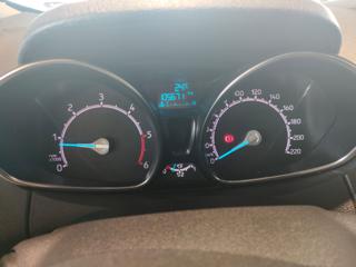 FORD EcoSport usata, con Filtro antiparticolato