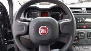 FIAT Panda usata, con Climatizzatore