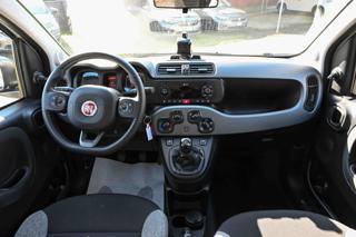 FIAT Panda usata, con Fendinebbia