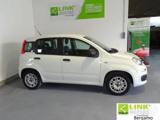 FIAT Panda usata 17