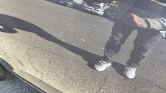 VOLKSWAGEN Polo usata, con Cerchi in lega