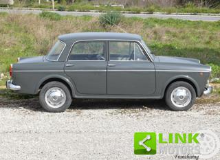 FIAT 1100 usata 7