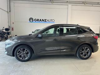 FORD Kuga usata, con Alzacristalli elettrici