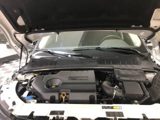 LAND ROVER Range Rover Evoque usata, con Frenata d
