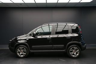 FIAT Panda Cross usata, con Alzacristalli elettrici
