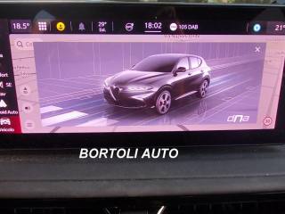 ALFA ROMEO Tonale usata, con Sensori di parcheggio posteriori