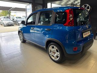 FIAT Panda usata, con Alzacristalli elettrici