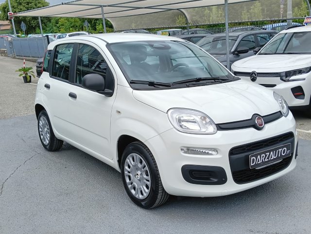 FIAT Panda usata, con Airbag Passeggero