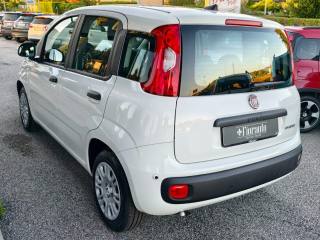 FIAT Panda usata, con Antifurto