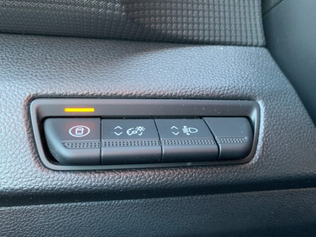RENAULT Trafic usata, con Vetri oscurati