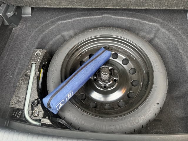 VOLKSWAGEN Golf usata 22