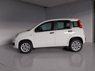 FIAT Panda usata, con Airbag Passeggero