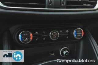 ALFA ROMEO Stelvio usata 12