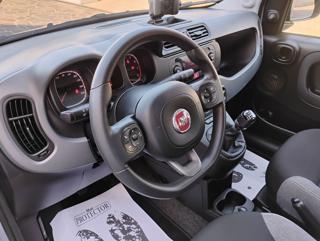 FIAT Panda usata, con Cronologia tagliandi
