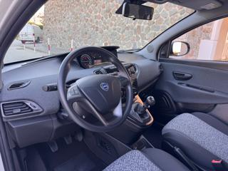 LANCIA Ypsilon usata, con Cronologia tagliandi
