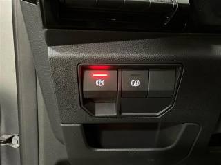 RENAULT Austral usata 21