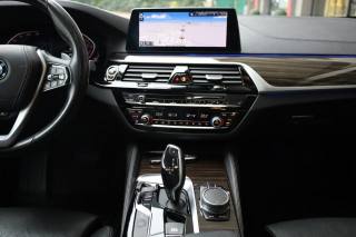 BMW 530 usata, con Vetri oscurati