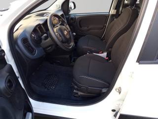 FIAT Panda Cross usata 20