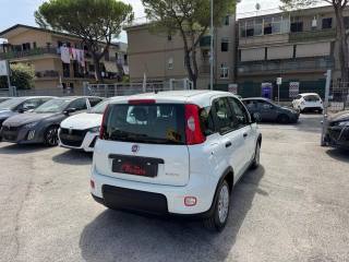FIAT Panda usata, con Airbag Passeggero