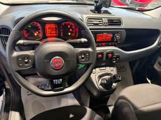 FIAT Panda usata, con Immobilizzatore elettronico