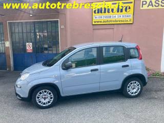 FIAT Panda usata, con Airbag