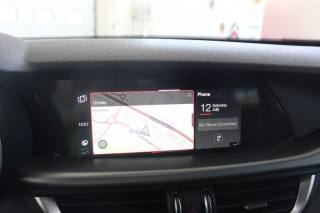 ALFA ROMEO Stelvio usata, con ESP