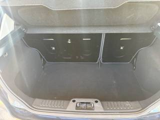 FORD Fiesta usata, con Luce d