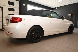 BMW 218 usata 74