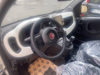 FIAT Panda usata, con Volante multifunzione