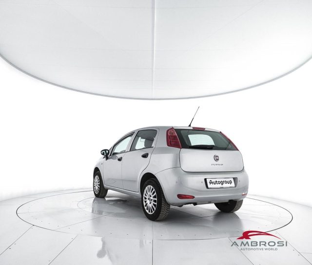 FIAT Punto usata 3