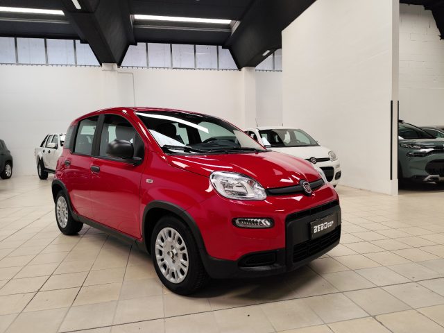 FIAT Panda usata, con Airbag Passeggero
