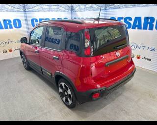FIAT Pandina Cross usata, con Alzacristalli elettrici